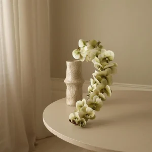 Green Majestic Orchid Flower Blomster